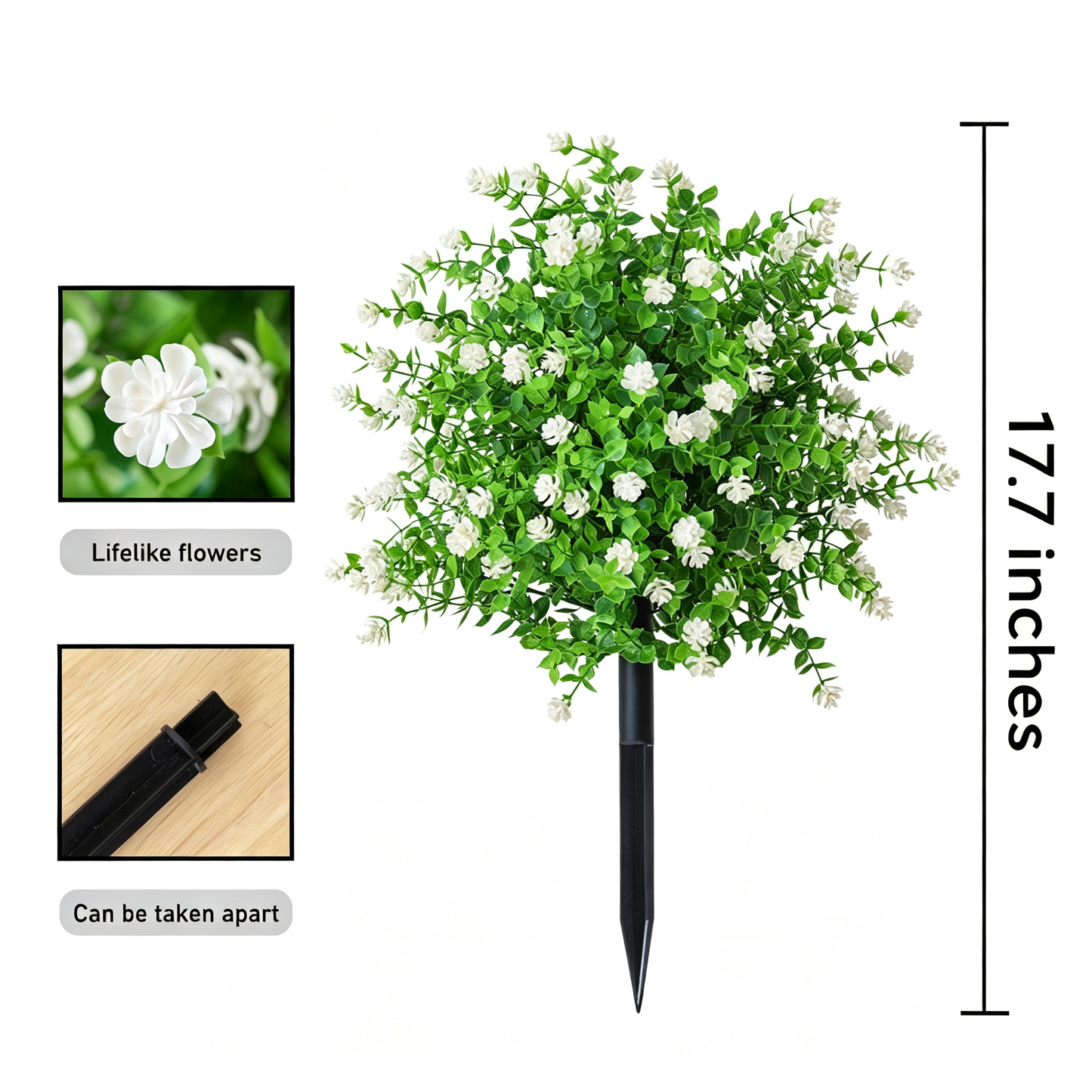 🌿 Altijd Luxe & Groen: Haal de Perfecte Gecertificeerde Camelliaboom in Huis! 🏡