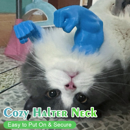 ๐ฑ Laat Je Kat Flexen! ๐ช Hilarische 3D "Hulk-Armen" voor Katten