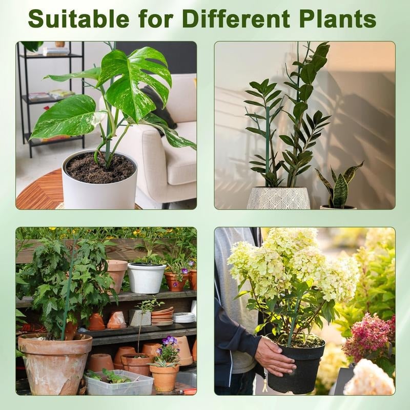 đż 5 kpl VihreĂ€ Kasvituki - SÀÀdettĂ€vĂ€ Tukitanko Kiipeville Kasveille (Monstera, Pothos) | SisĂ€- ja UlkokĂ€yttöön đ