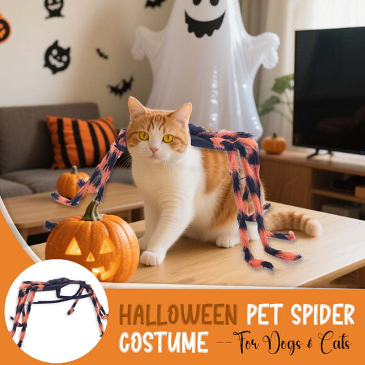 🎃 Maak van Je Huisdier de Ster van Halloween! 🕷️ Spinnen Kostuum voor Honden & Katten