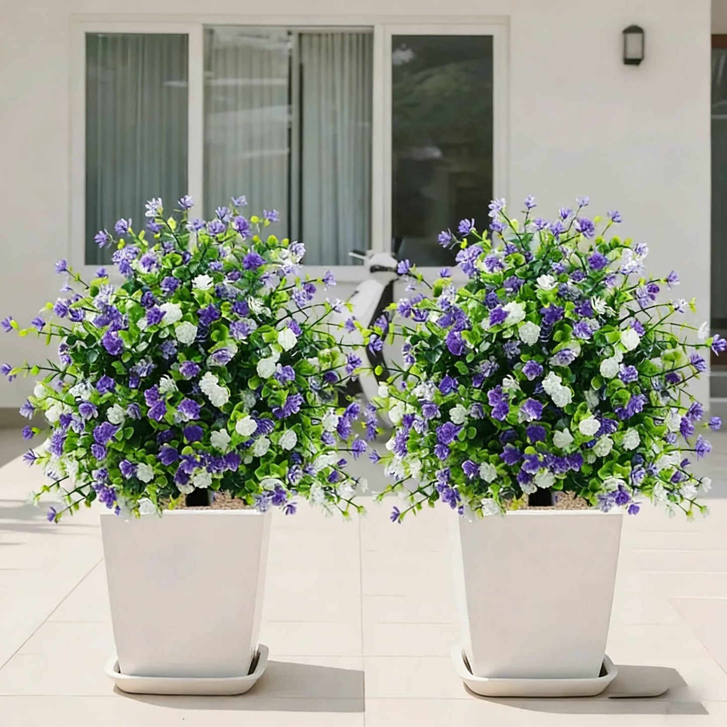 🌿 Altijd Luxe & Groen: Haal de Perfecte Gecertificeerde Camelliaboom in Huis! 🏡