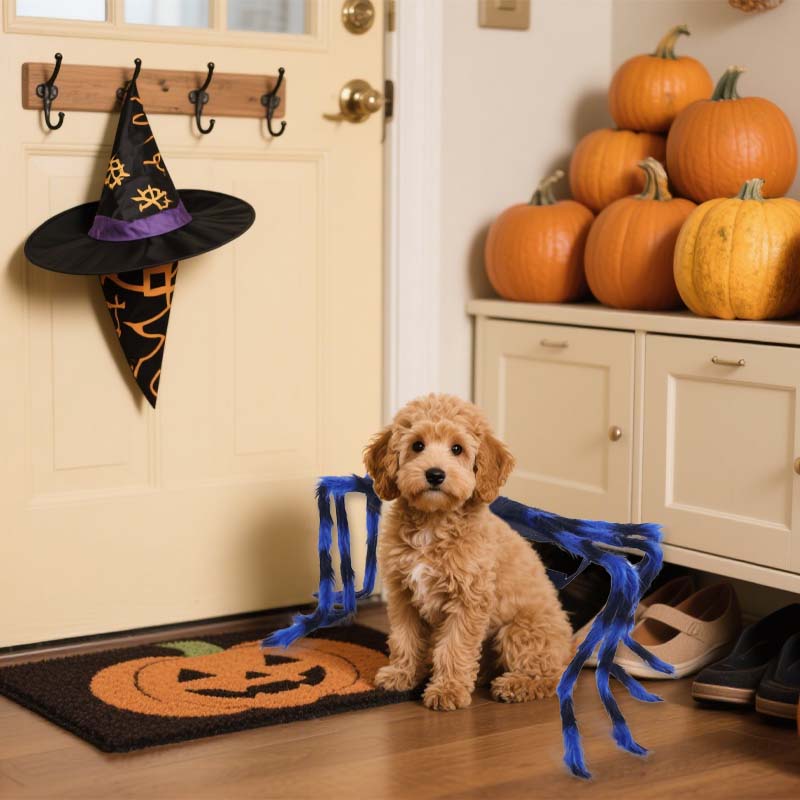 🎃 Maak van Je Huisdier de Ster van Halloween! 🕷️ Spinnen Kostuum voor Honden & Katten