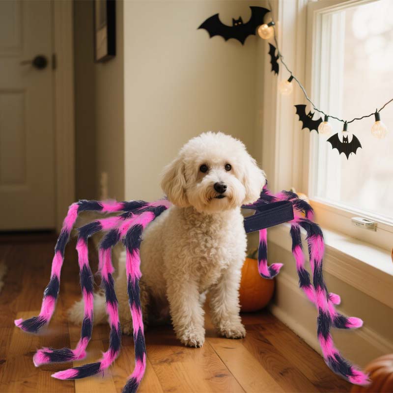 🎃 Maak van Je Huisdier de Ster van Halloween! 🕷️ Spinnen Kostuum voor Honden & Katten
