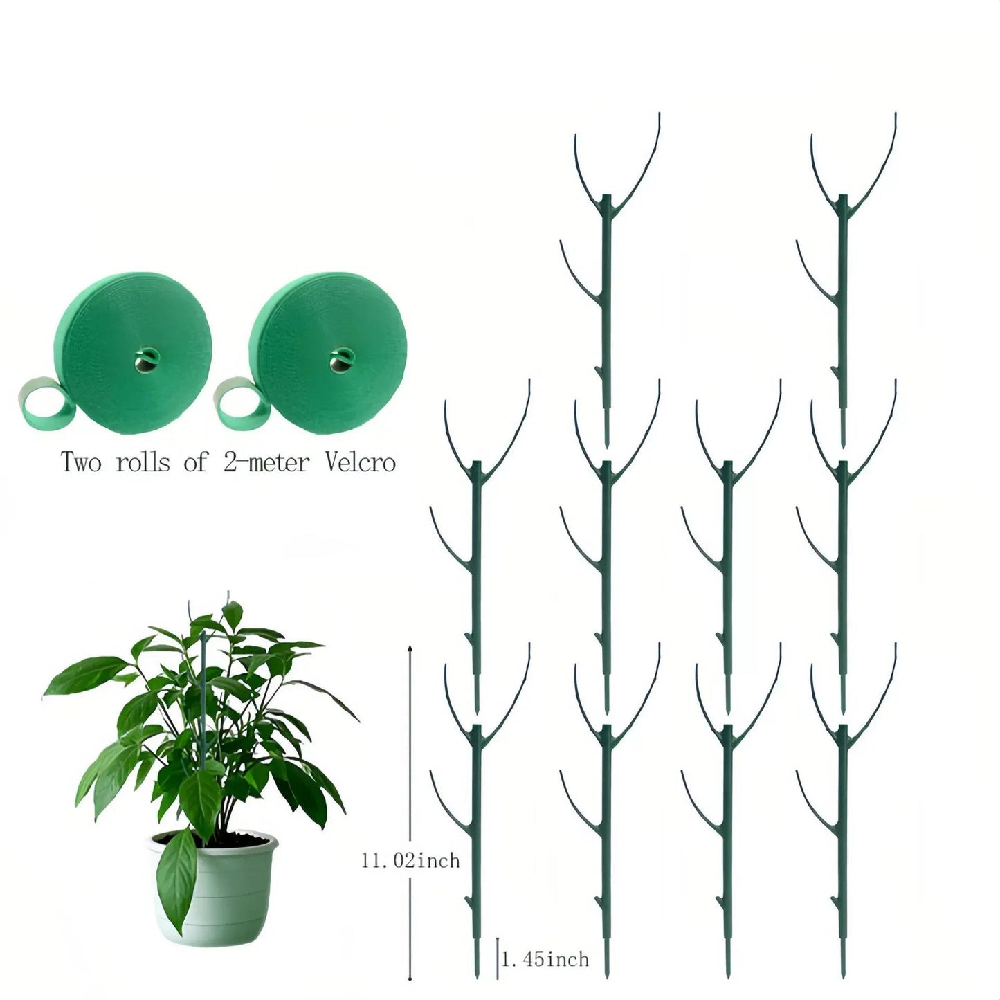 🌿 5 kpl Vihreä Kasvituki - Säädettävä Tukitanko Kiipeville Kasveille (Monstera, Pothos) | Sisä- ja Ulkokäyttöön 💕