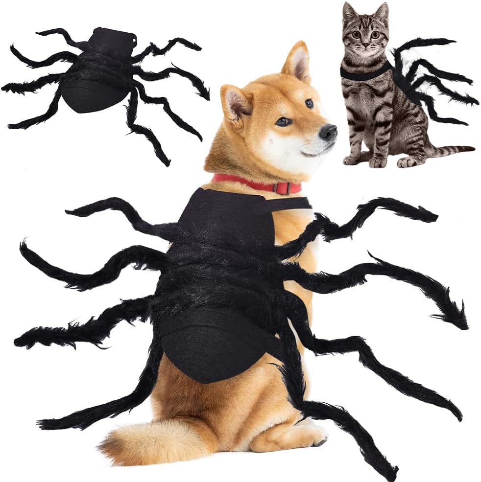 🎃 Maak van Je Huisdier de Ster van Halloween! 🕷️ Spinnen Kostuum voor Honden & Katten