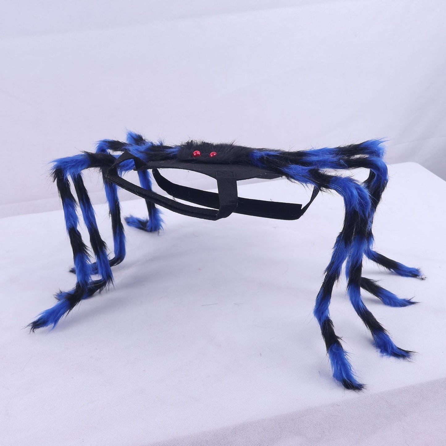 🎃 Maak van Je Huisdier de Ster van Halloween! 🕷️ Spinnen Kostuum voor Honden & Katten