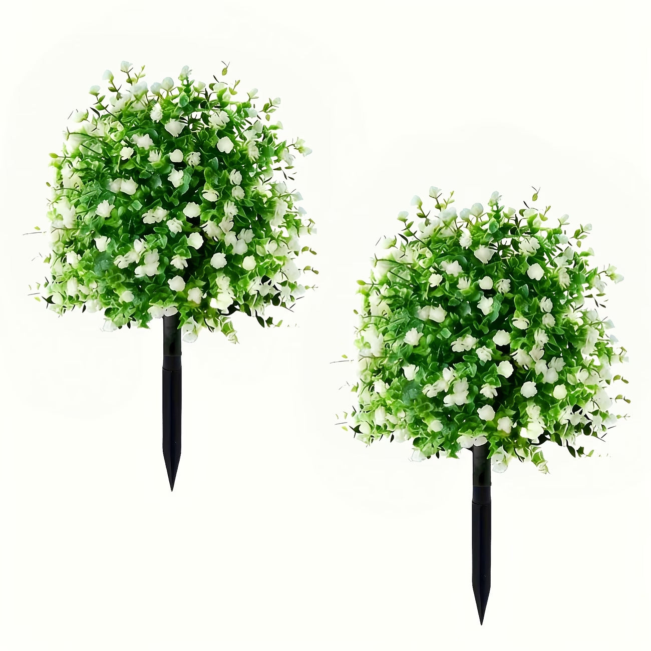 🌿 Altijd Luxe & Groen: Haal de Perfecte Gecertificeerde Camelliaboom in Huis! 🏡