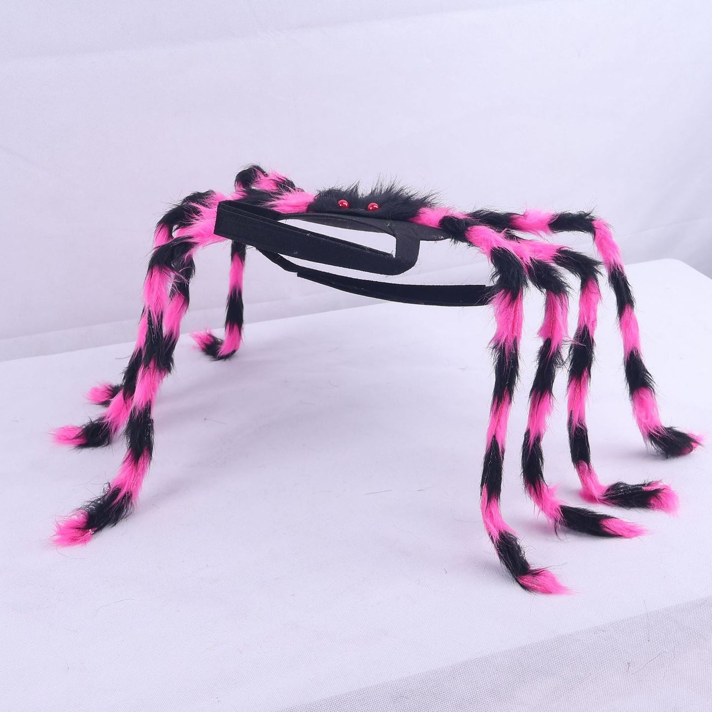 🎃 Maak van Je Huisdier de Ster van Halloween! 🕷️ Spinnen Kostuum voor Honden & Katten
