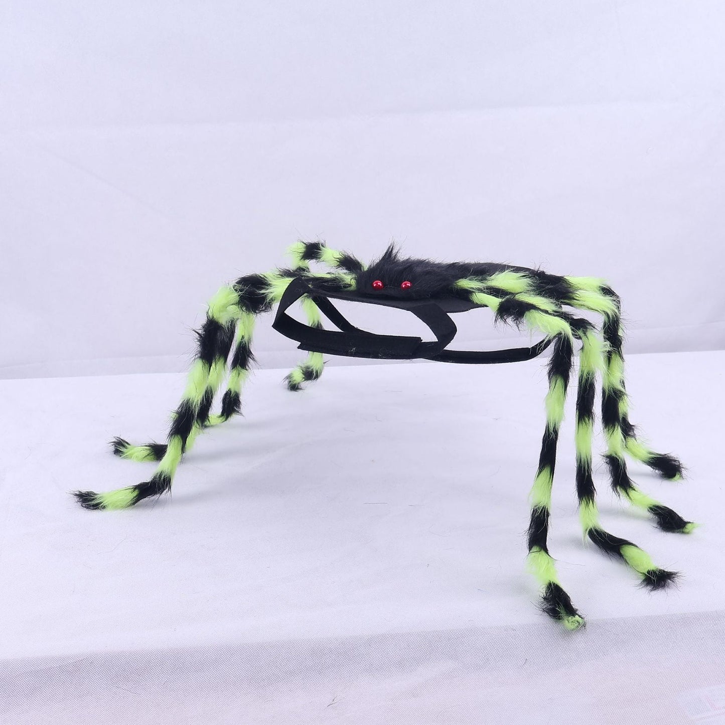 🎃 Maak van Je Huisdier de Ster van Halloween! 🕷️ Spinnen Kostuum voor Honden & Katten