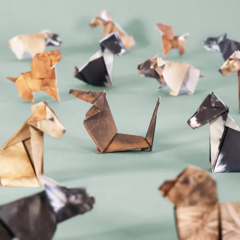 DIY Paper Cats - Luo Oma Origami-kissaparatiisi! 50 Ihastuttavaa Kissaa