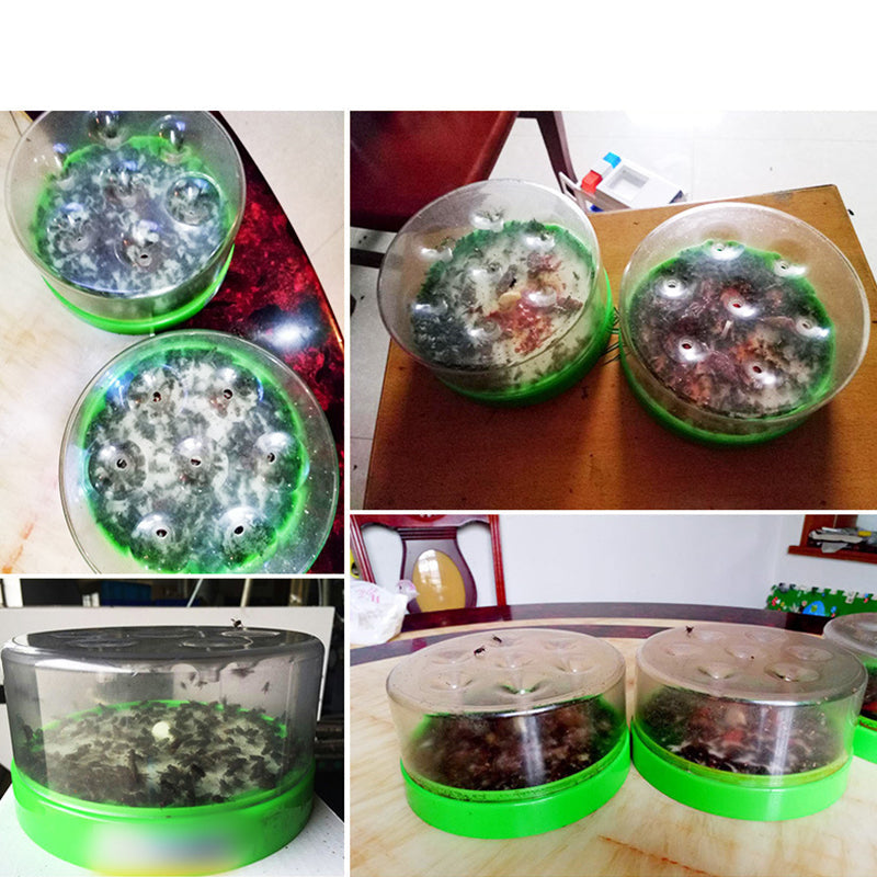 Nooit Meer Vliegen in Huis! ✨ Geniet van een Schoon & Rustig Thuis