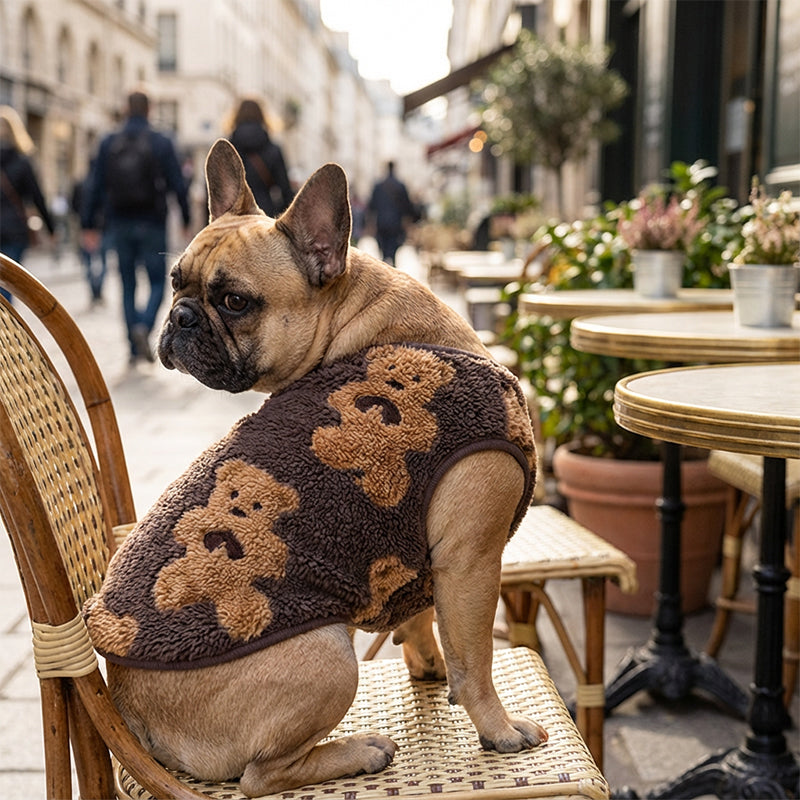 🐾 Warm Hondenvest met Pluche Voering – Super Zacht & Schattig Berendesign! 🧸❤️